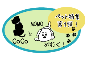 taitoru.gif